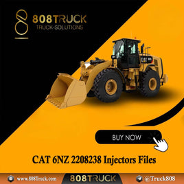 CATERPILLAR 6NZ 2208238 Injectors Files